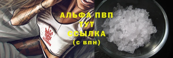молекула духа Гусев