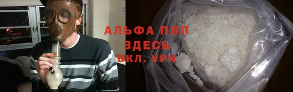 молекула духа Гусев