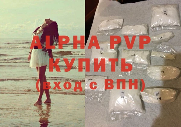 молекула духа Гусев